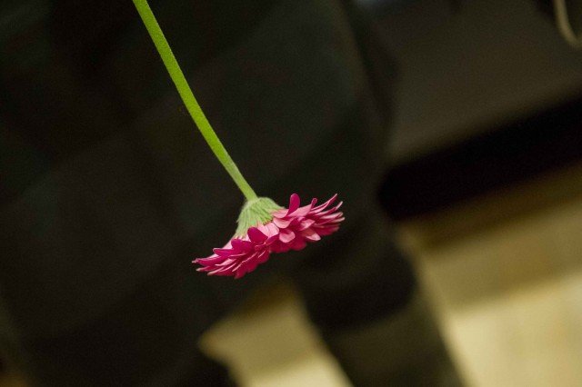 Iedereen neemt één bloem mee voor een bloemengroet