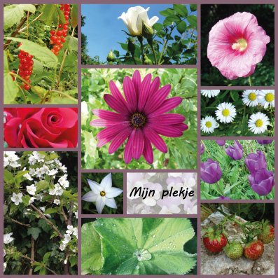 Uitvaart Hoog Soeren. Persoonlijke rouwkaart met foto's uit eigen tuin.